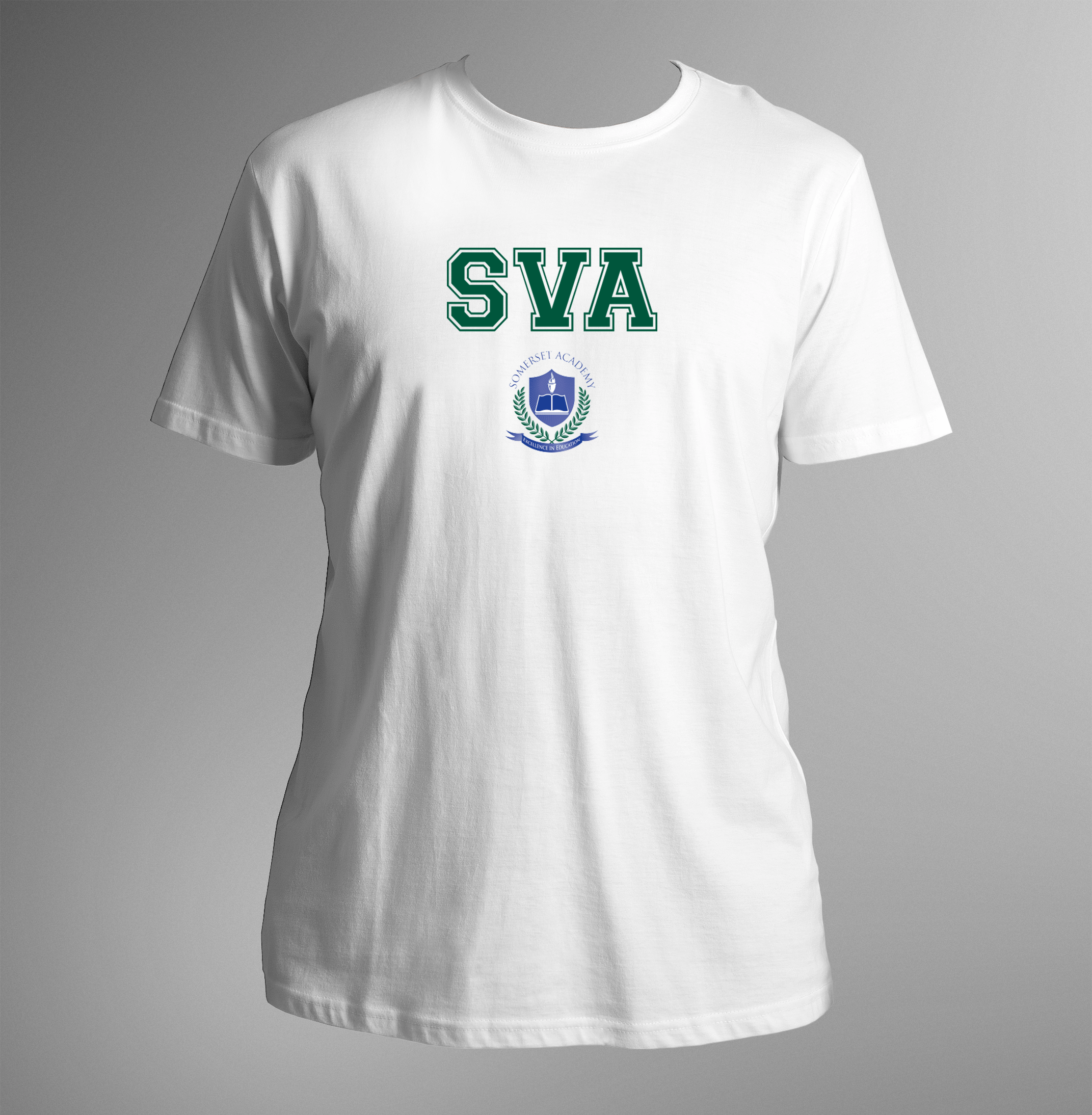 Somerset Virtual Academy