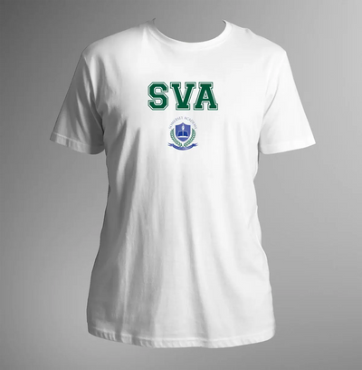 Somerset Virtual Academy
