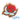 Alpha Omicron Pi Large Crest