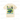 Sigma Chi Rush Formula 1  Raise Hell Racing Pocket Tee Design Idea