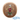 Pi Kappa Alpha Large Crest